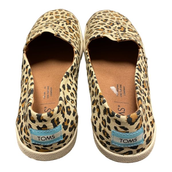 Animal Print Shoes Flats Toms, Size 7.5 For Sale - Image 3