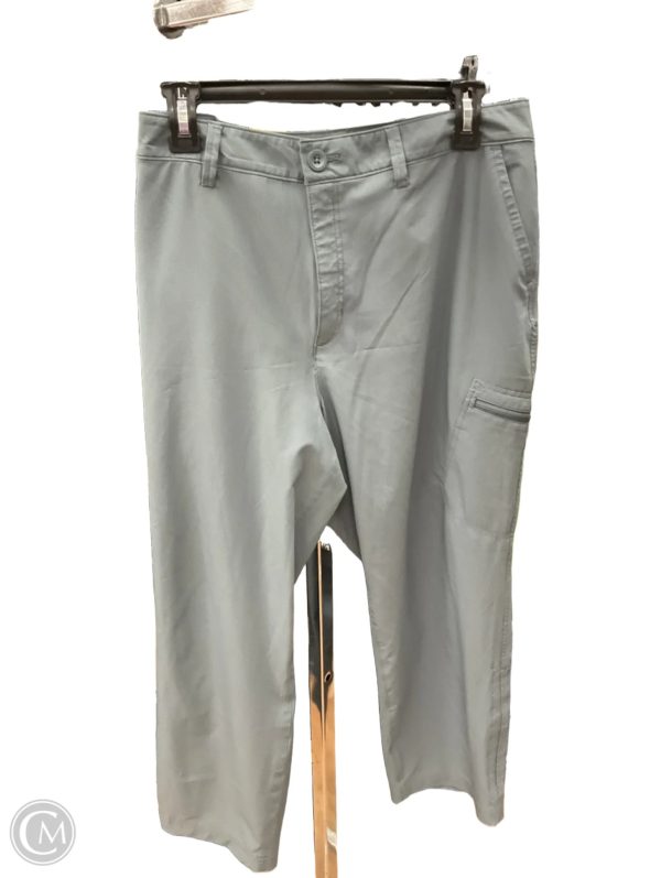 Athletic Pants By Eddie Bauer In Grey, Size: 16 For Cheap